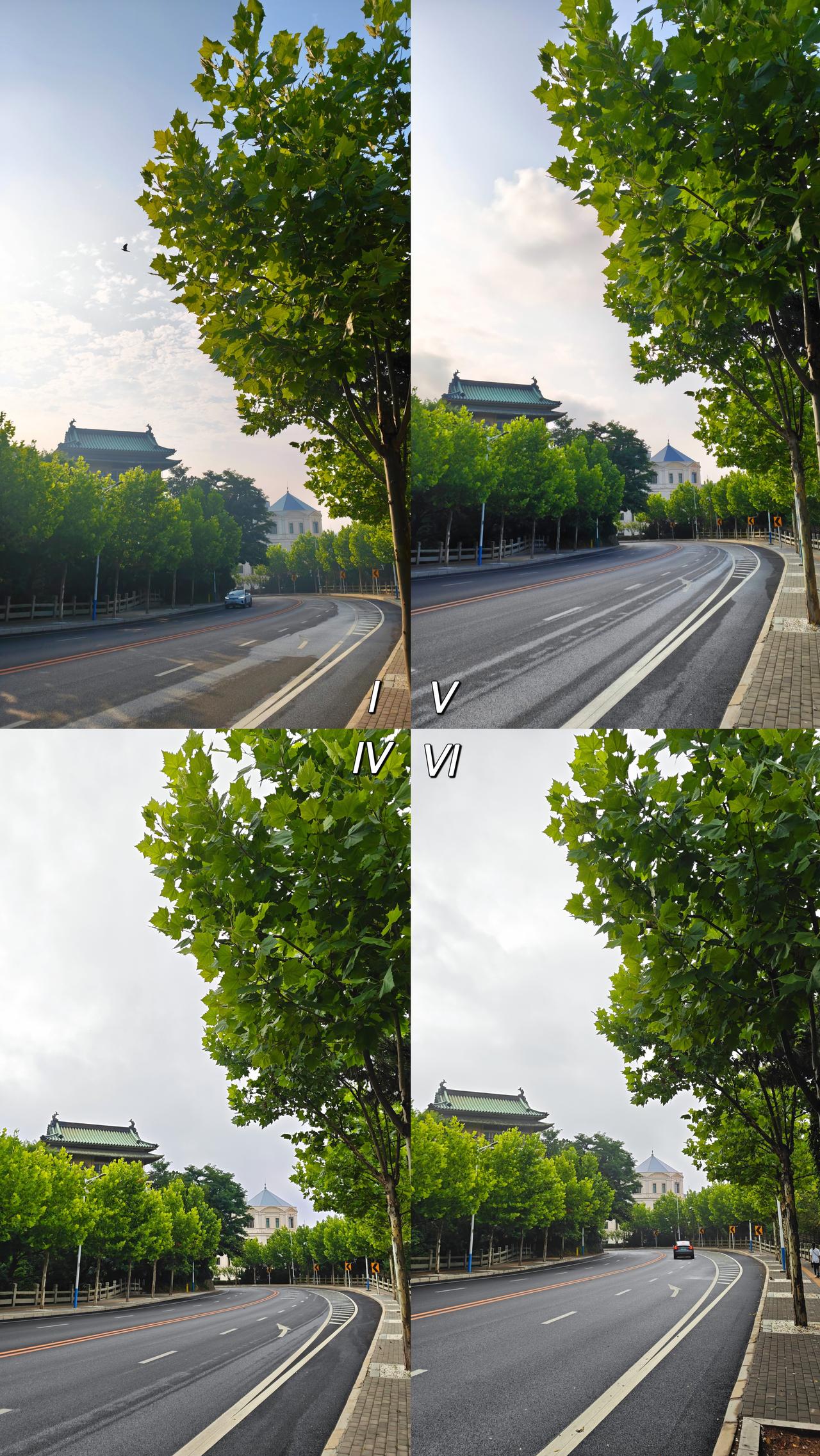 暑假第二周，晨练四次[呲牙]
昨天一直没发文，是因为不确定今天到底晨练不，天公作