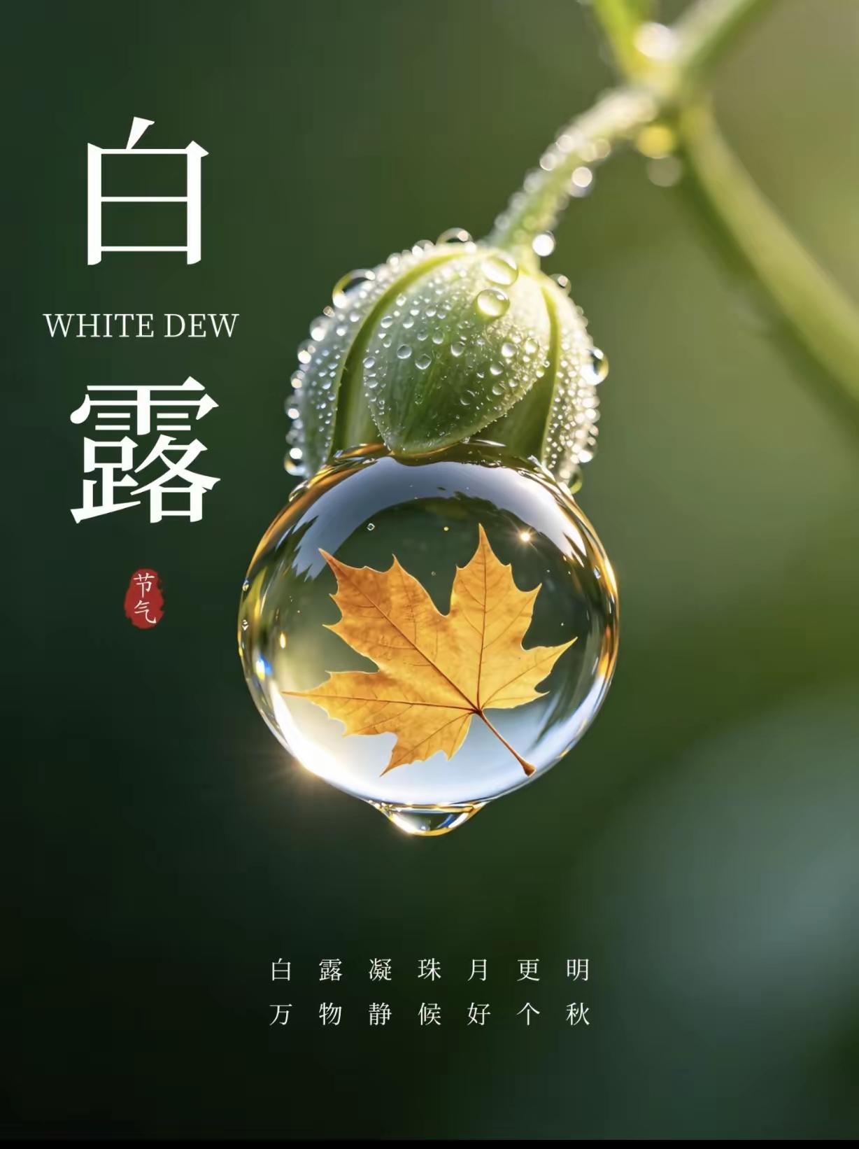 白露时节，气候逐渐转凉，昼夜温差加大，人体的新陈代谢也会有所变化。此时适当进补有