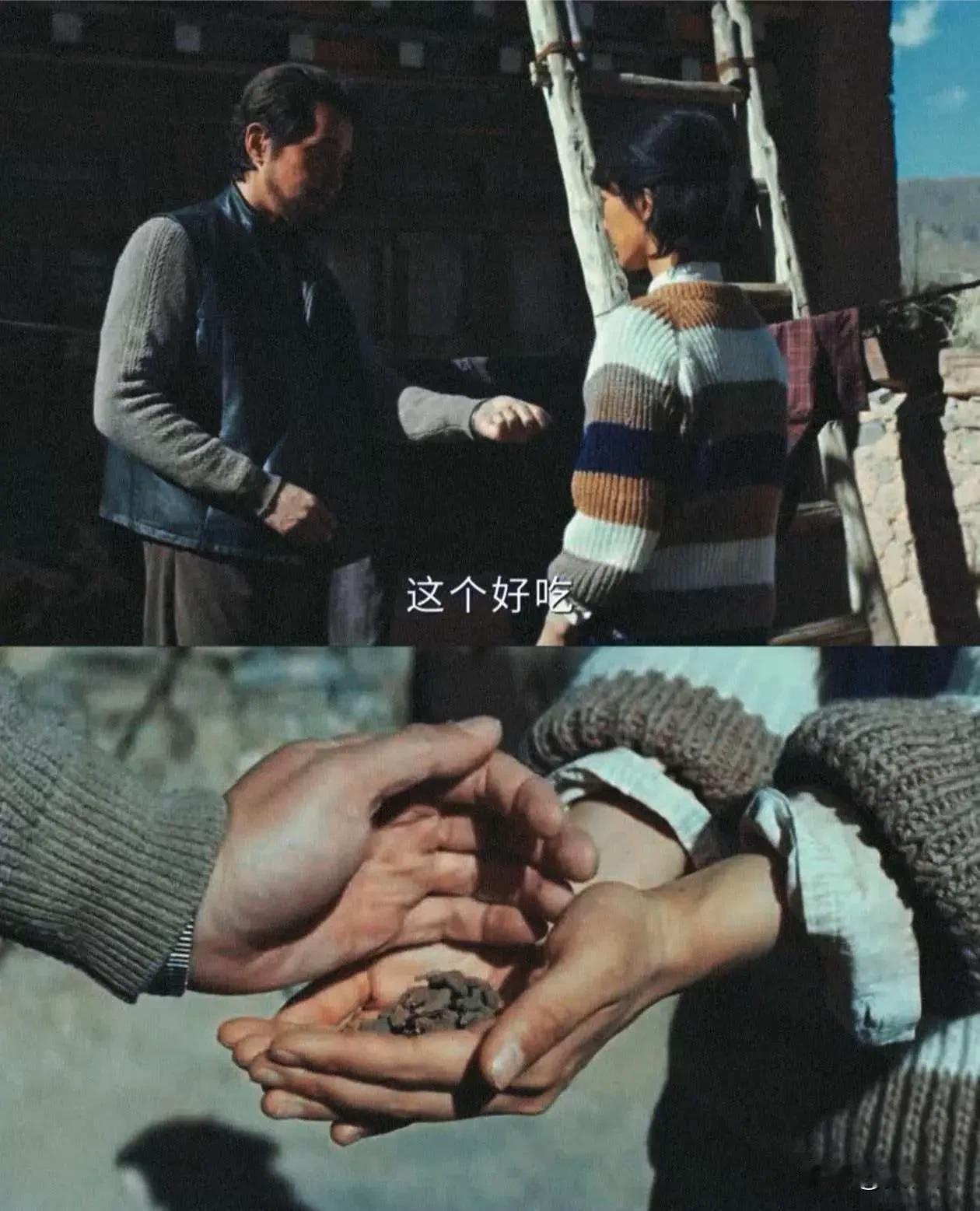 跟着《生命树》解锁青海人的“宝贝疙瘩”——蕨麻！
 
看《生命树》里师傅递给白菊