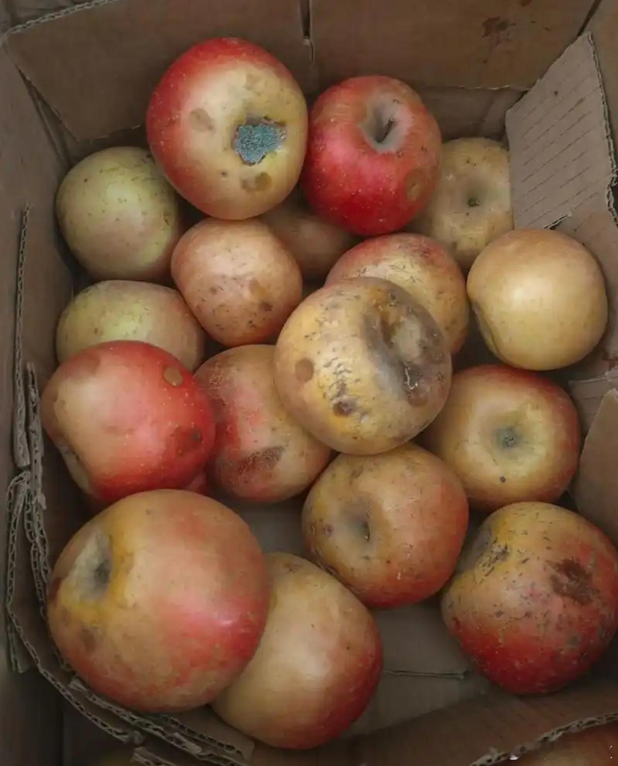 卖不完的果切都去哪了之前上班时点了一份果切外卖外卖小哥说以后别点这个了你懂的后面