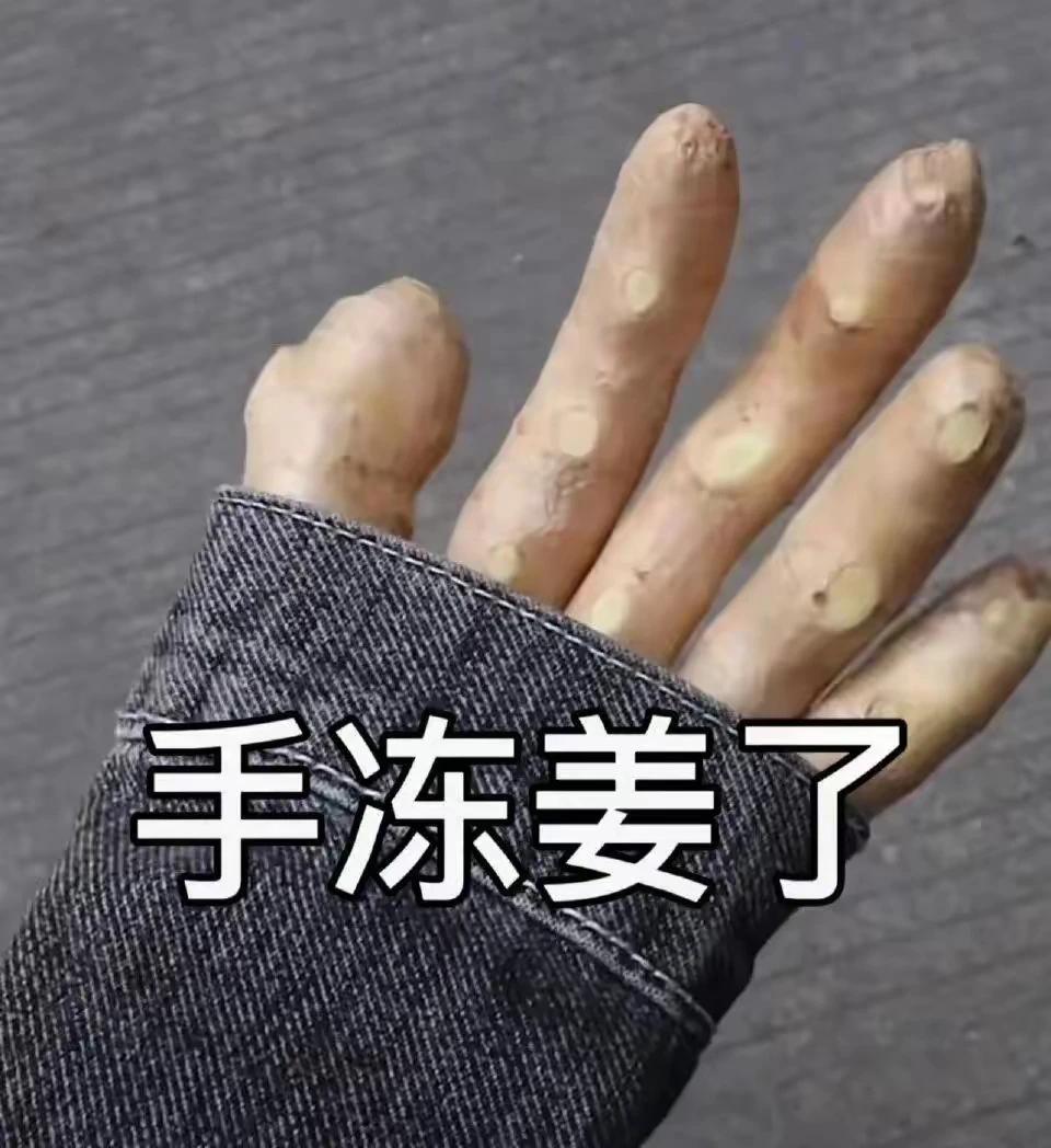 臭宝上天不成变成上山[偷笑][偷笑][偷笑]