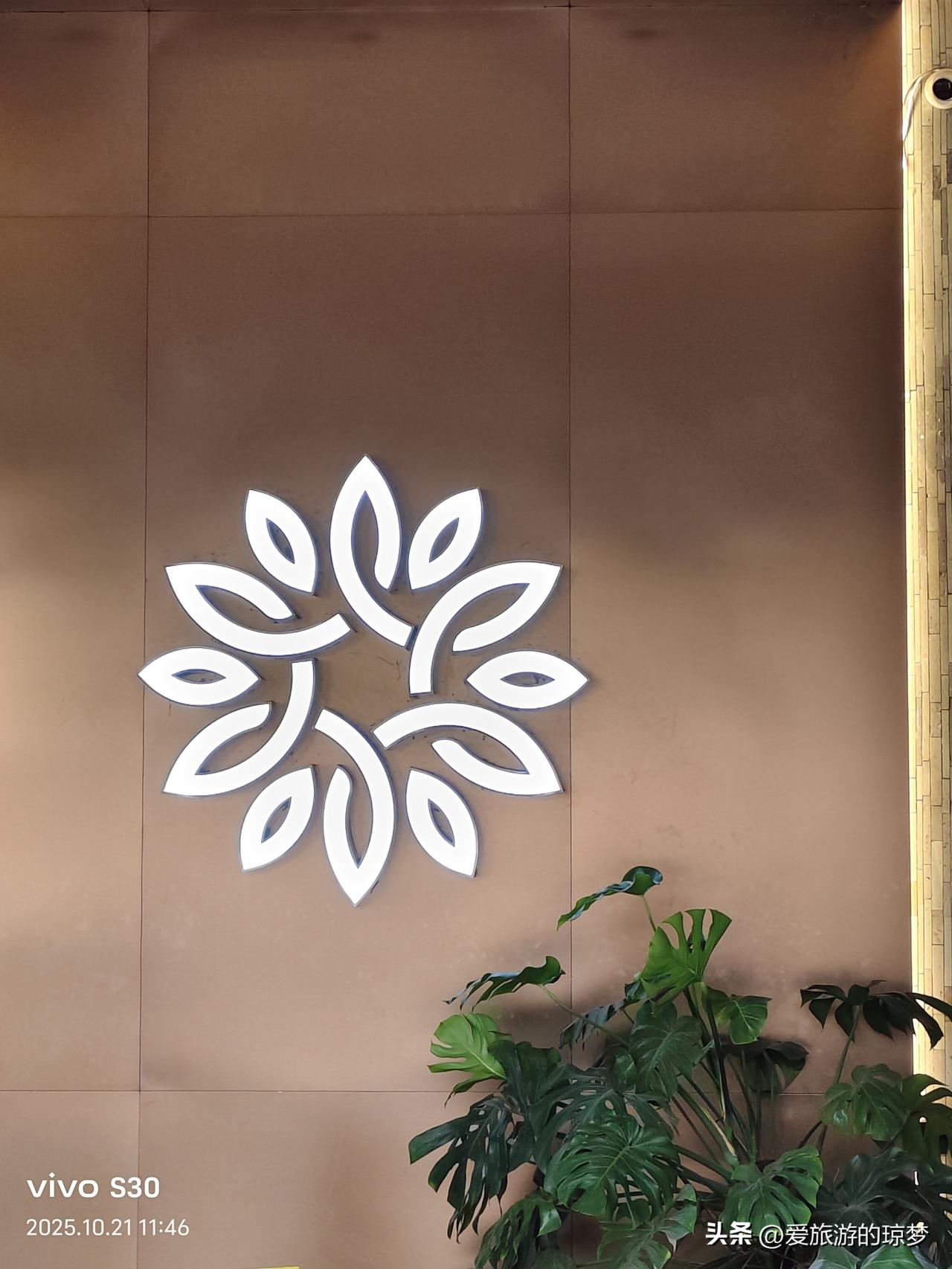 冬日生活打卡季