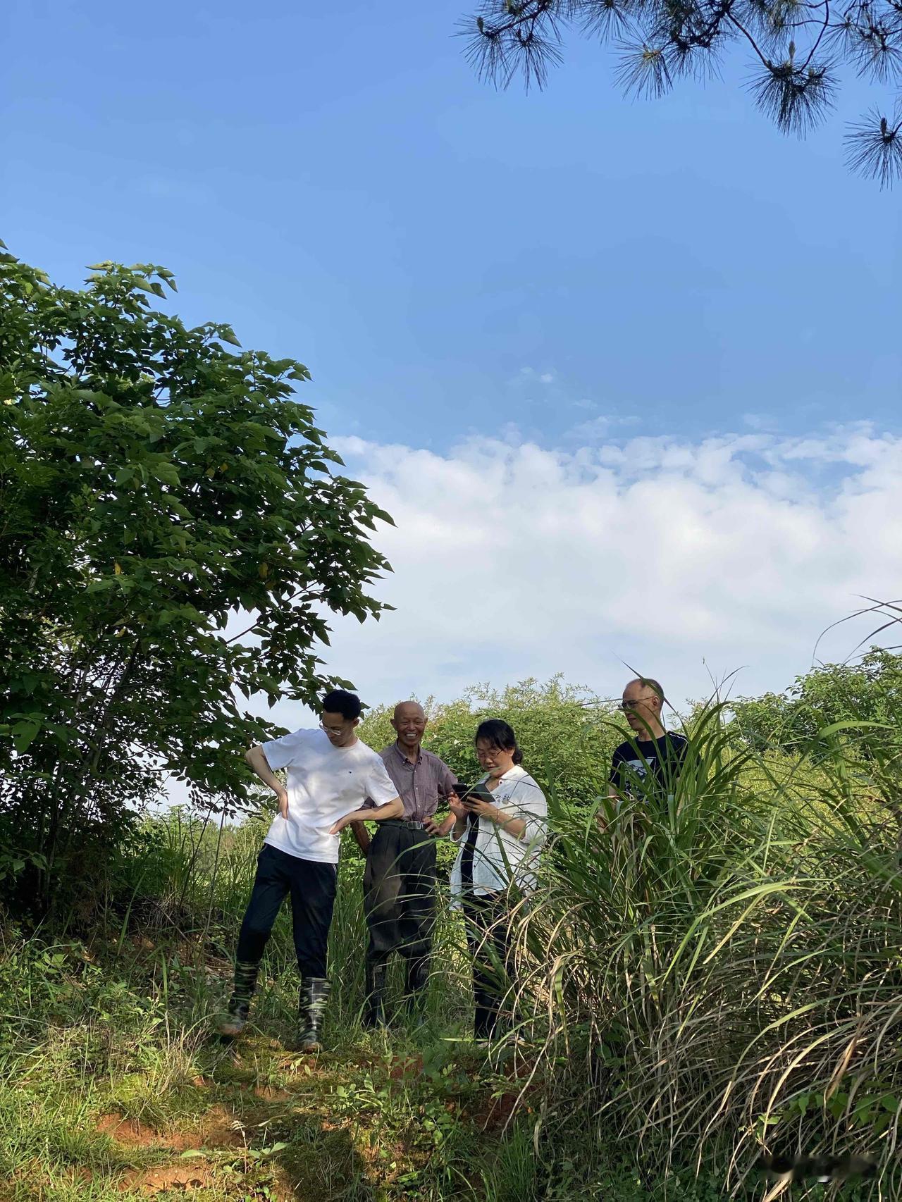 晴日里，几个人踩过沾着露水的草坡，树影在身上轻轻晃。家公听他们说话，笑过不停。嫂