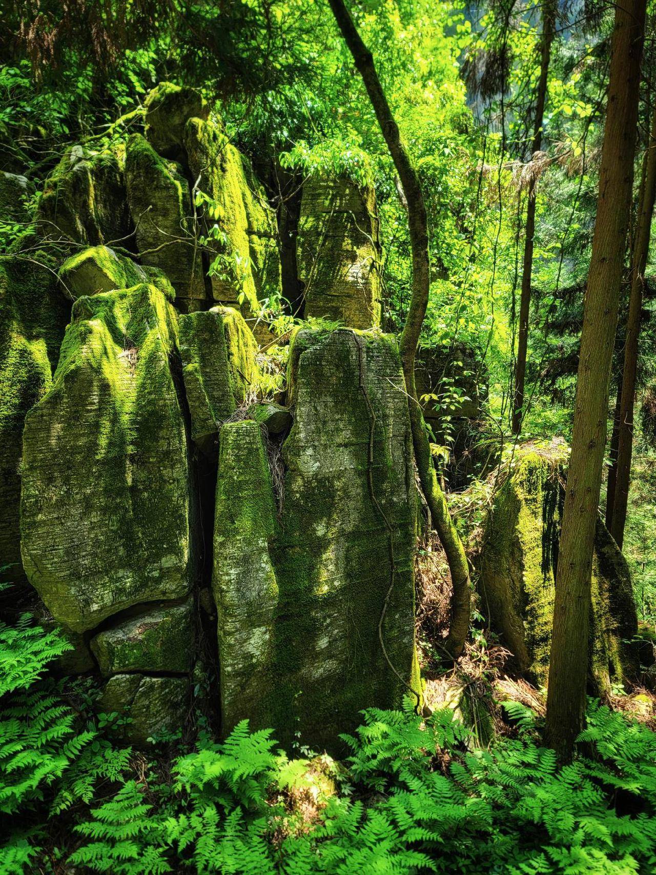 来恩施州必打卡恩施大峡谷！#湖北恩施风景 #中国强摄影旅行