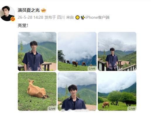 夏之光风景照自带课本滤镜夏之光随手拍堪比课本封面 干净、明亮、治愈，夏之光的风景