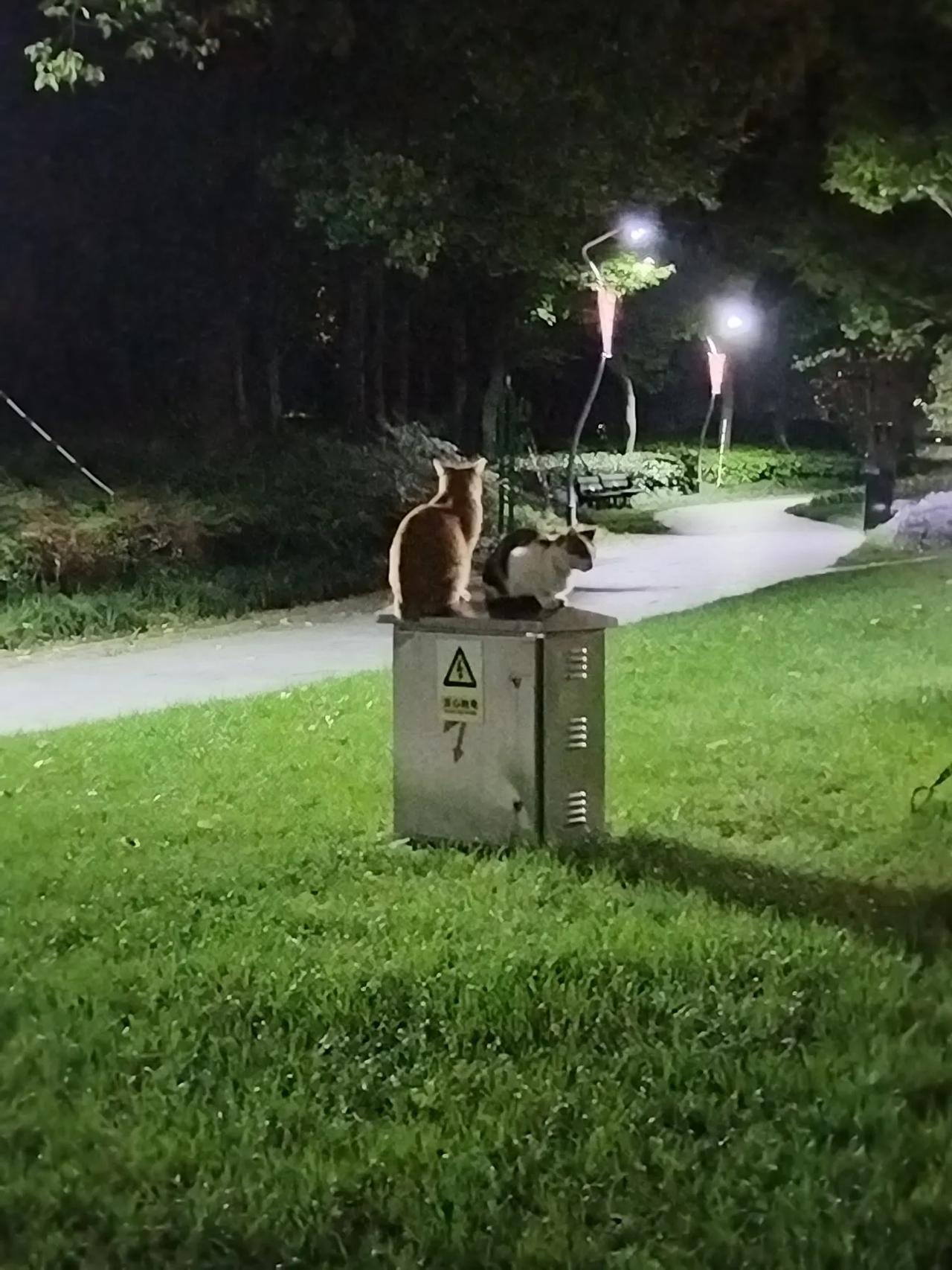 冬日生活打卡季刚看到头条上有个网友吐槽一个傻老板，抠门，连杯白开水都舍不得提供给