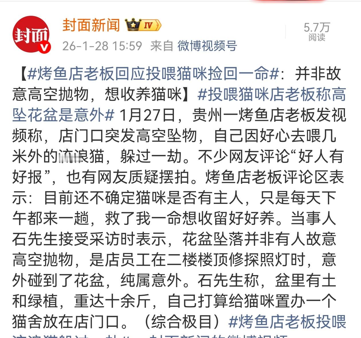 烤鱼店老板投喂流浪猫躲过一劫 千钧一发啊，真是好人有好报！看到有网友怀疑事情是否