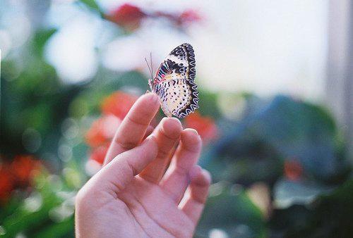 One day you will fly out, grow more beau