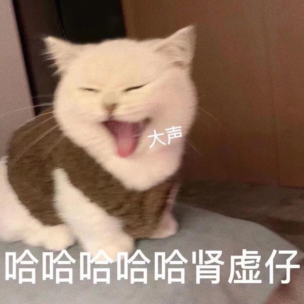 哈哈哈哈，肾虚仔！#创作灵感 #表情包 #猫咪表情包