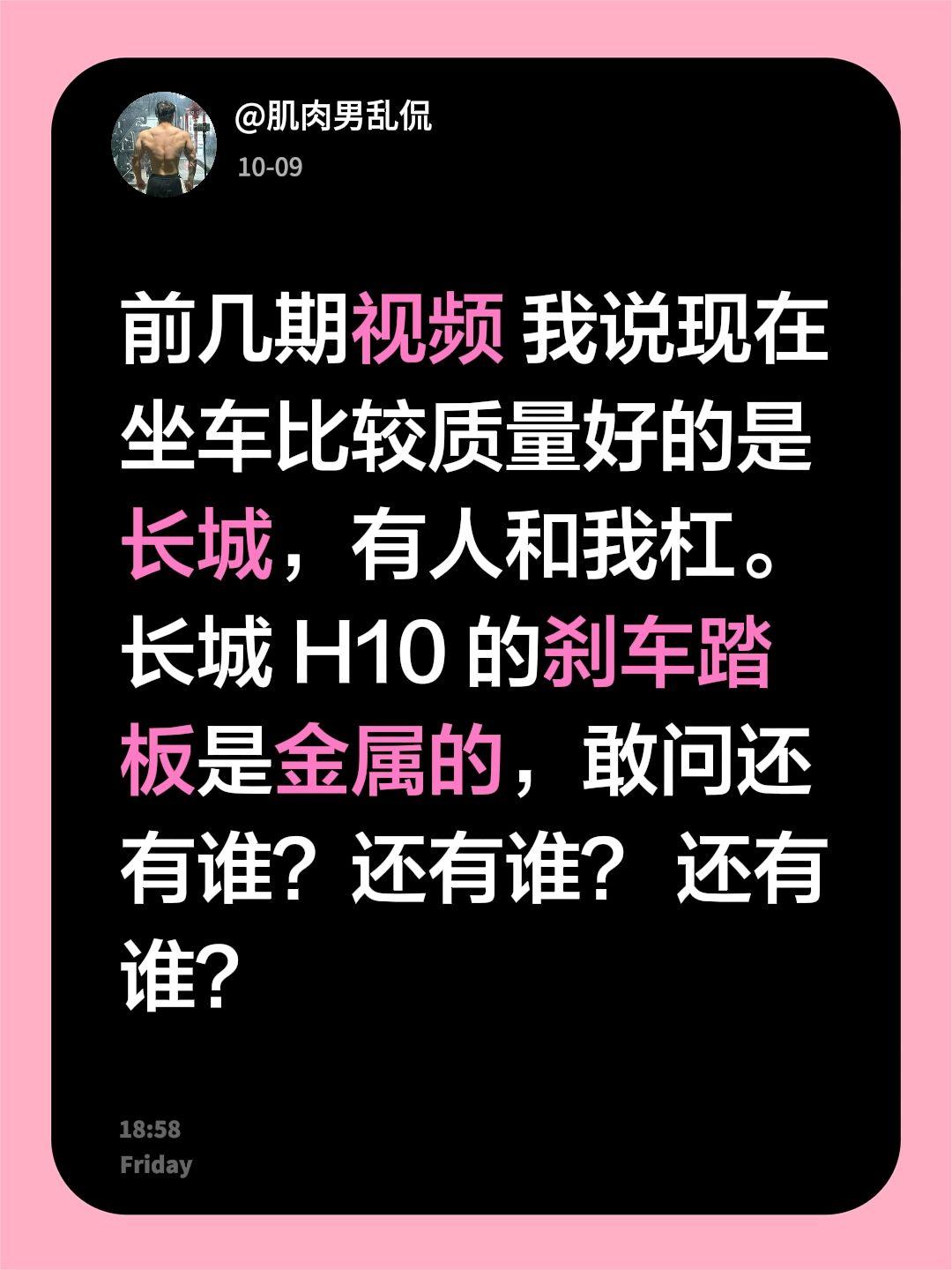 前几期视频 我说现在坐车比较质量好的是长城，有人和我杠。
长城 H10 的刹车踏