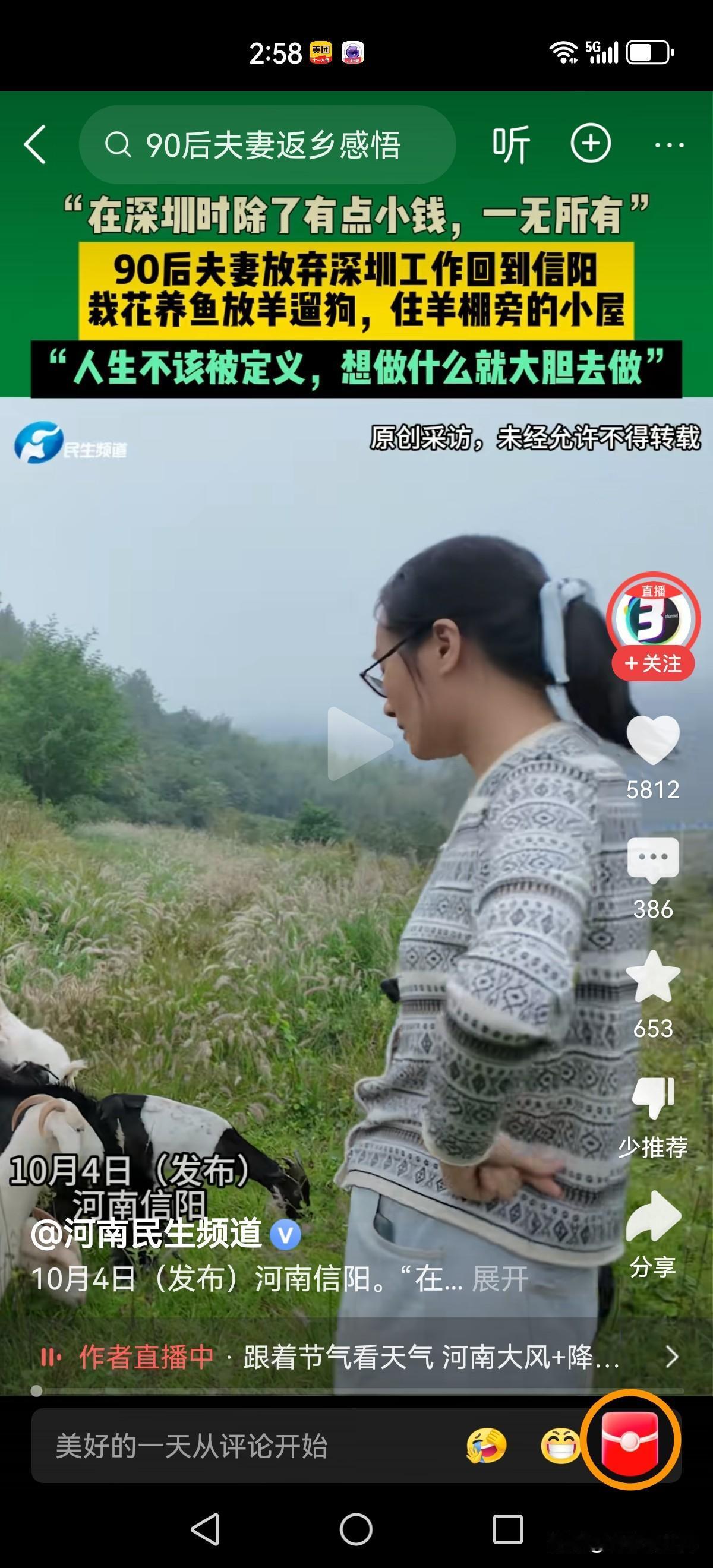 985大学毕业，90后小两口放弃在深圳打拼回到了河南老家。种花养鱼遛狗，除了没什