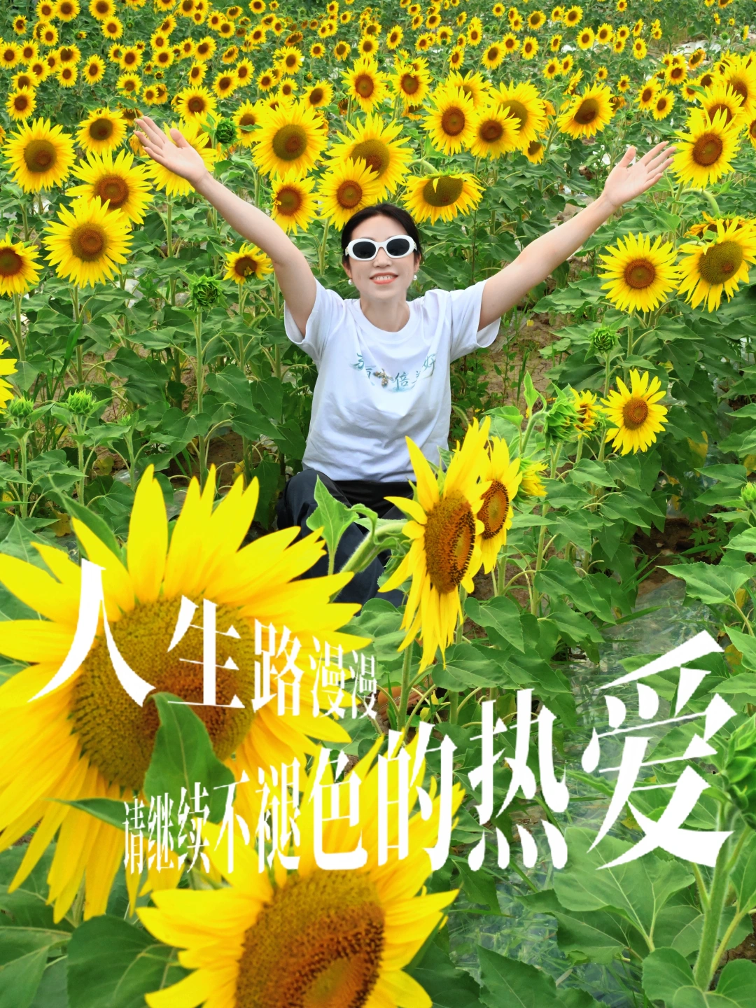 天津东丽微旅行｜一日逛遍文艺红色工业田园