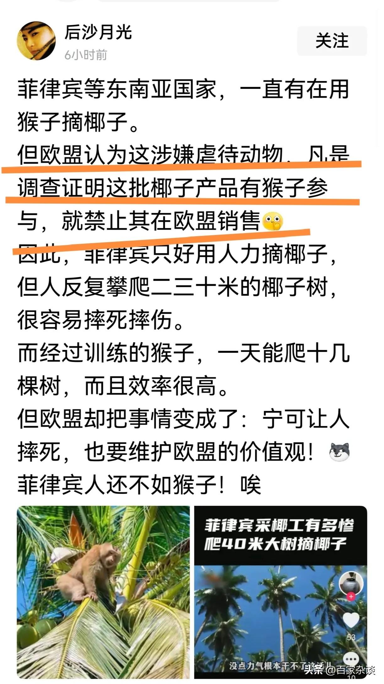 菲律宾雇佣猴子摘椰子，欧盟指责菲律宾虐待动物，于是就禁止菲律宾在欧盟销售椰子。换