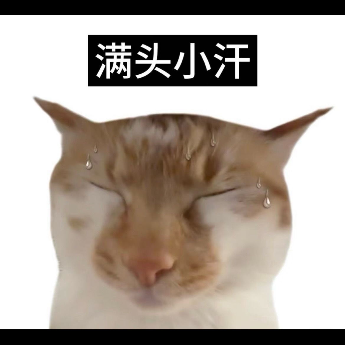分享图片 ​​​