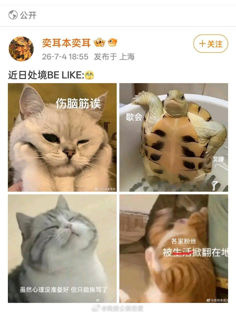 我装松弛belike 