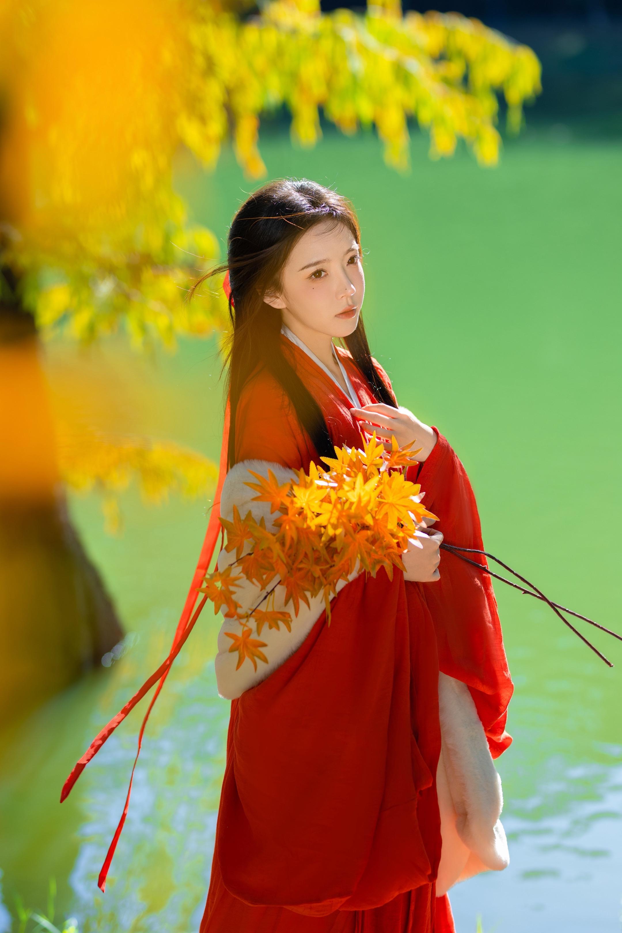 惆怅的枫叶🍁拍过我的肩。