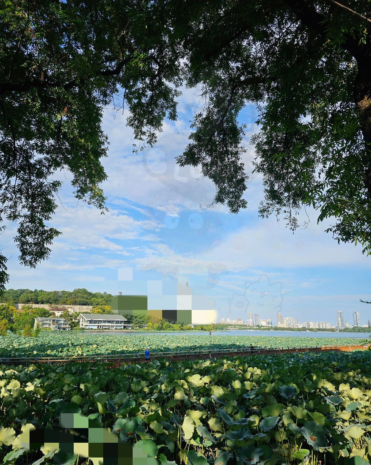 朋友是产科医生，昨天跟我说下个月要被辞退了——你敢信吗？现在产科惨到一天就10来