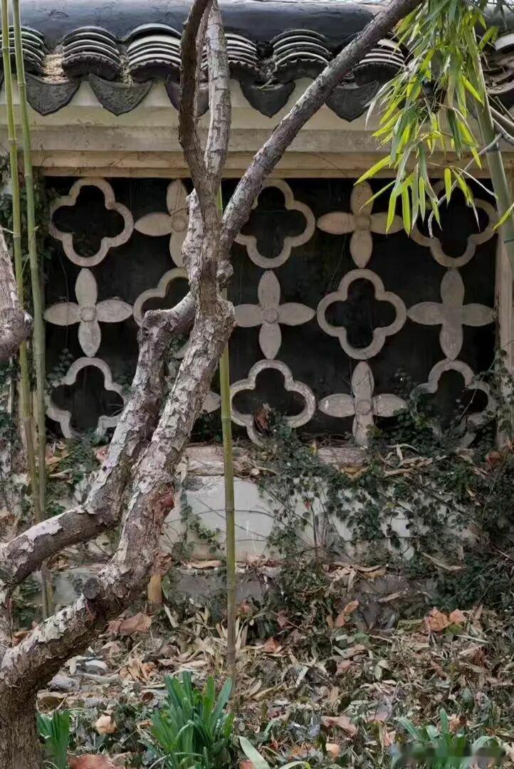好怕LV告我家房子全屋地砖、阳台窗花、老式房檐全是同款四瓣花，茉莉奶白赔千万，我