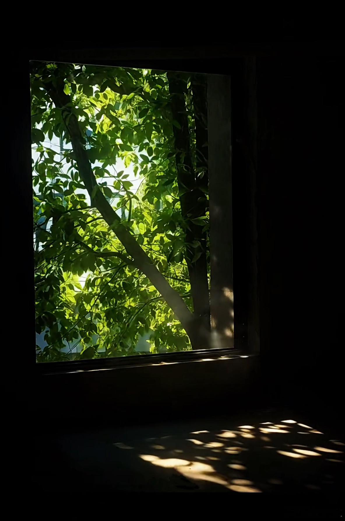 站在绿色里与夏天对望 