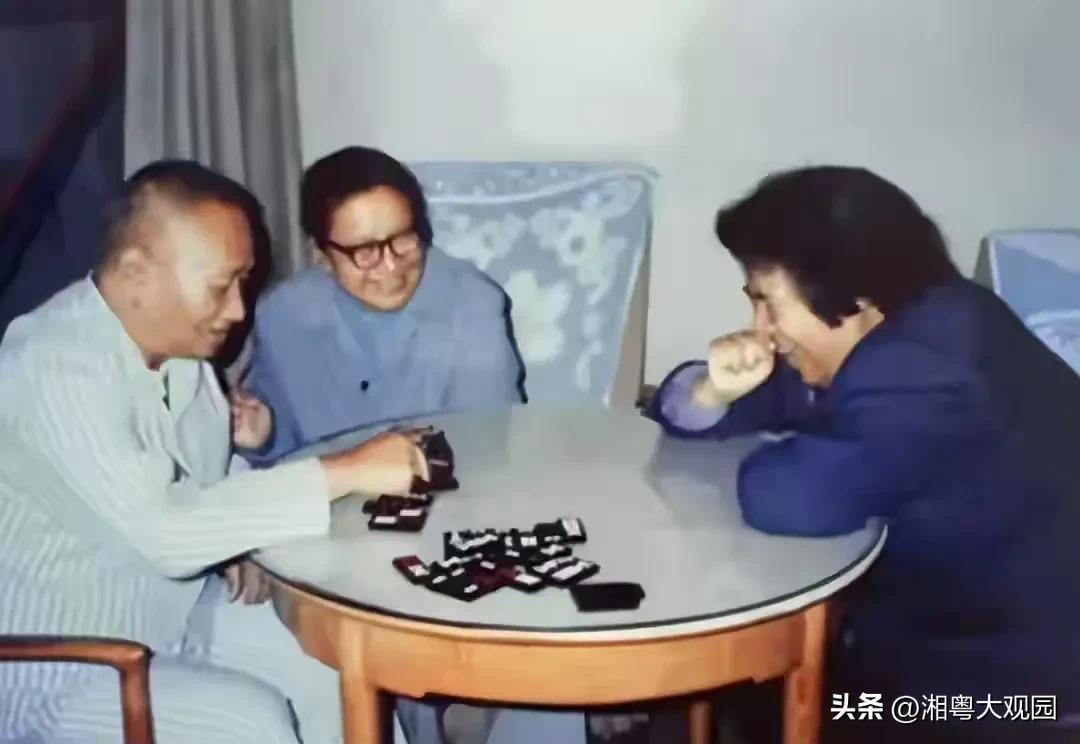 1990年，李讷去西山看望二哥毛岸青时，兄妹俩一起拍了这张照片！老照片

毛岸青