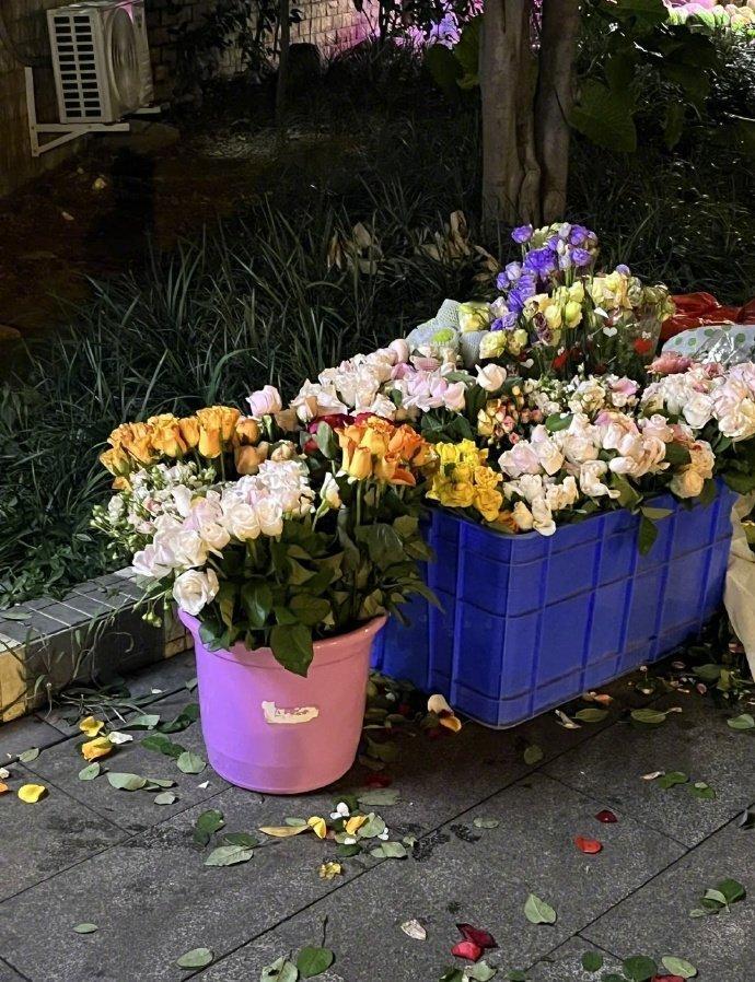 📸｜最近的好心情～在普通的日子里看到花💐日子长长🍭总会如愿以偿 ​​​