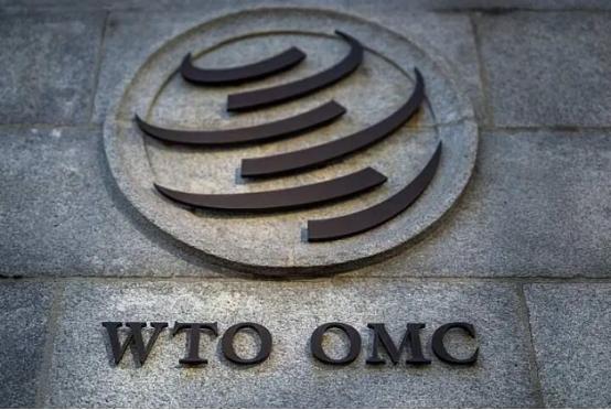 2026年5月2号，世贸组织突然官宣要砍掉10%的预算，就连一批短期干活的员工也