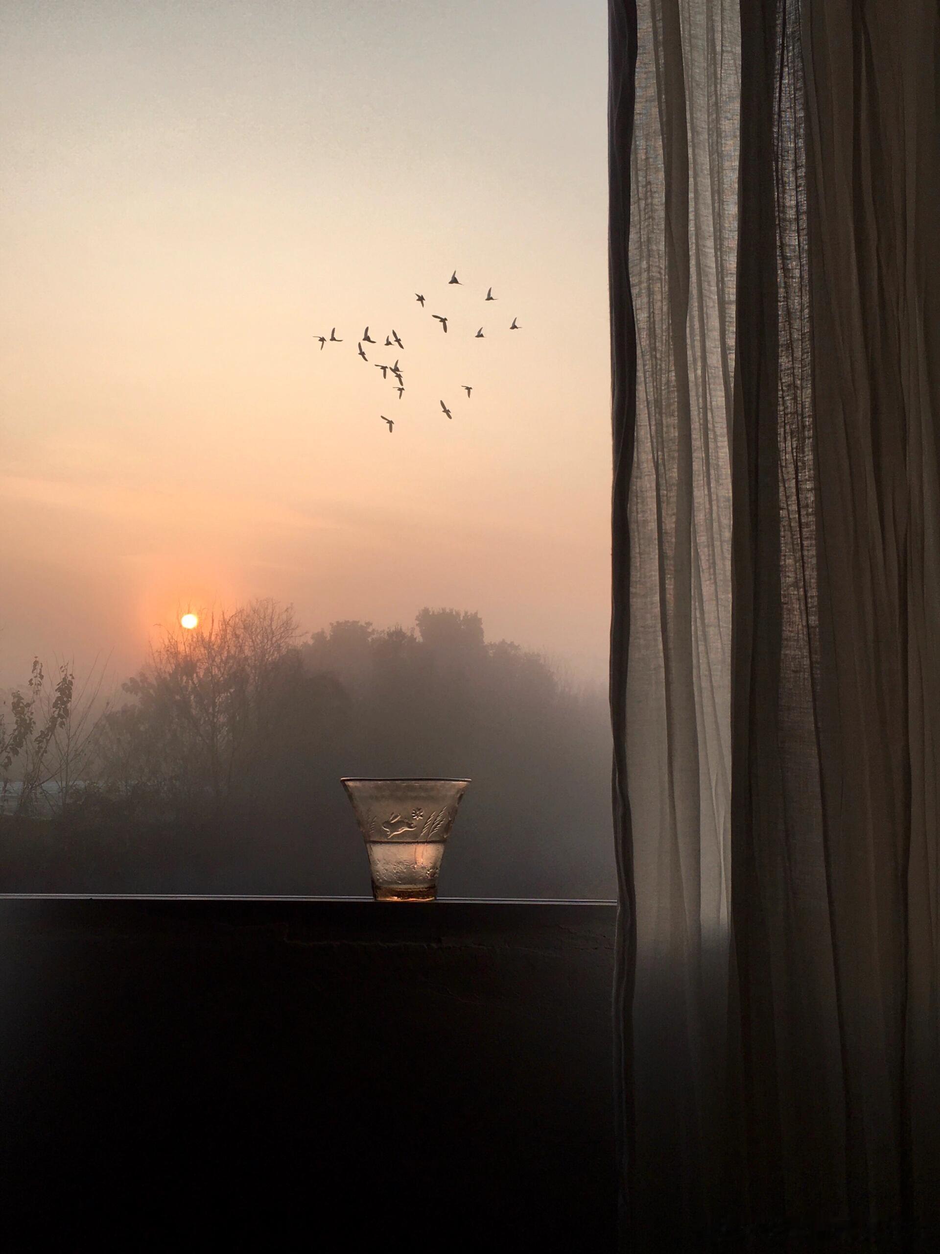 薄雾🌫谁懂这种氛围感