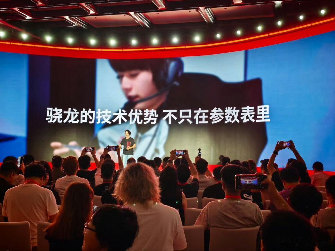嫂嫂的荣耀 