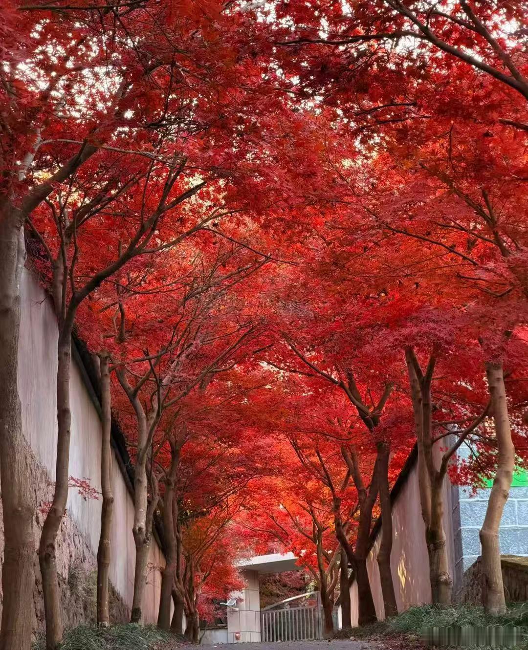 真正的价值需要时间沉淀，真正的信任需要岁月验证。 