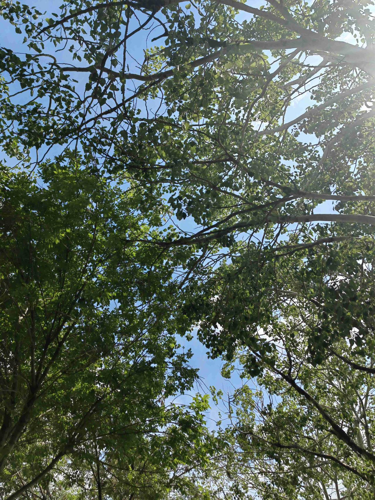 我的今日状态：😁轻松愉快
我这里的天气：☀️晴天