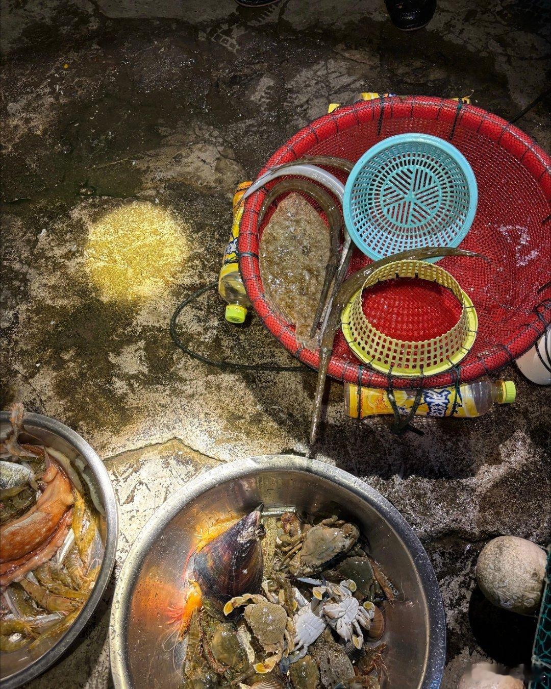 建议大家多赶海，虽然赶的时候有点累，但抓起来的时候是真的很爽