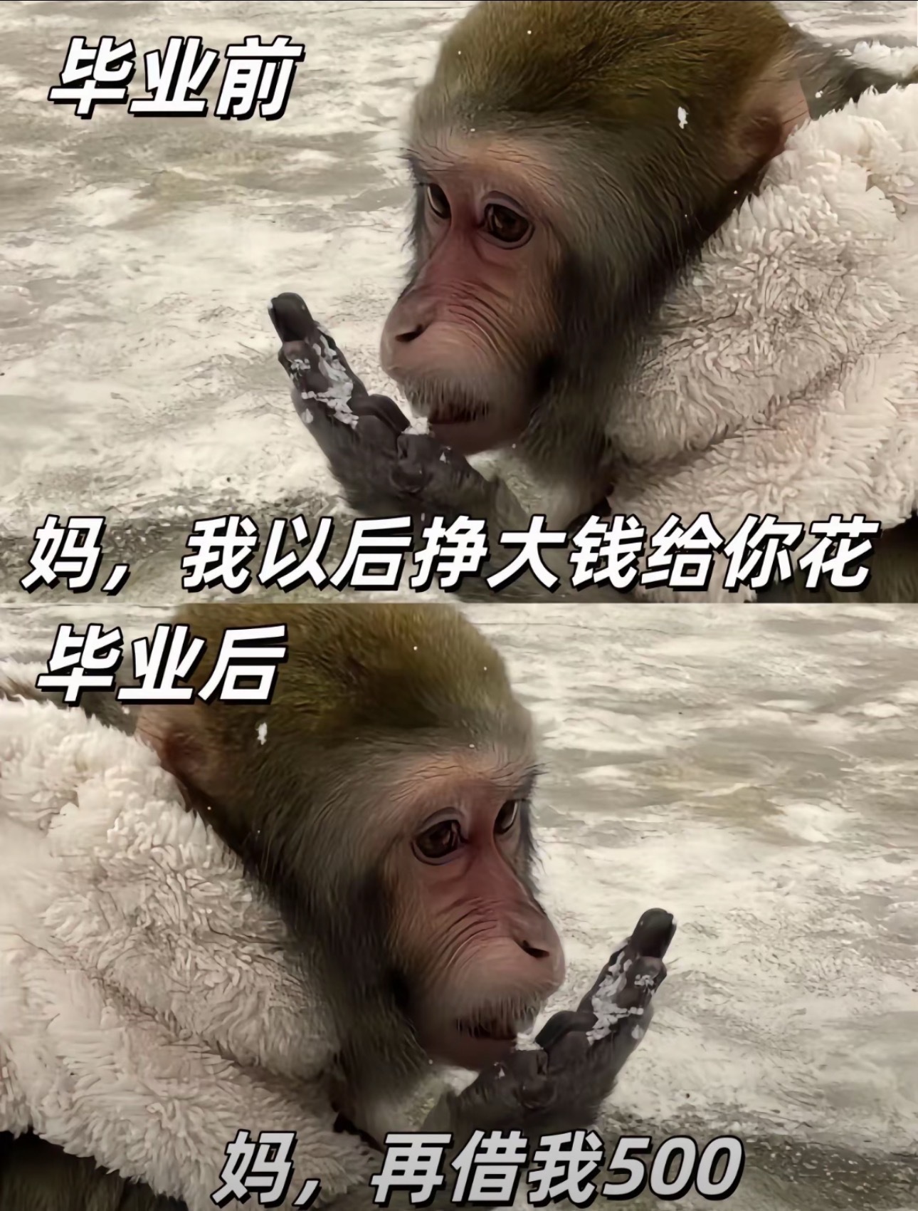 毕业前后没什么区别？ ​​​