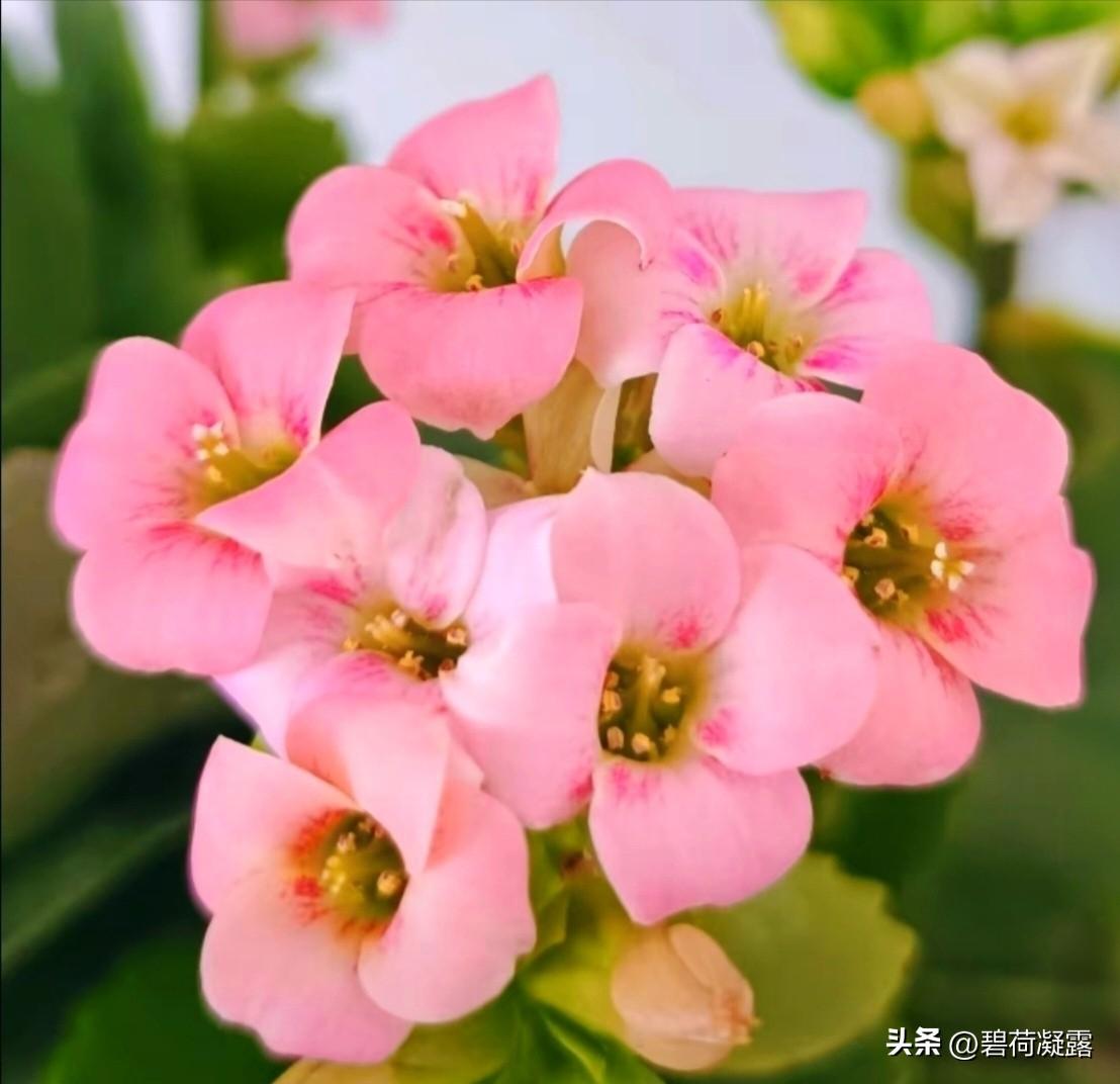 一辈子很短， 来不及细算不知不觉丢了童年，无声无息没了青年，莫名其妙进了中年，无