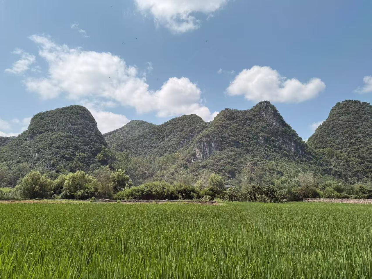 刘坤一是湘军集团政治领袖中的晚辈，条件资质平平，但依靠着踏实勤勉，与人为善，擅长