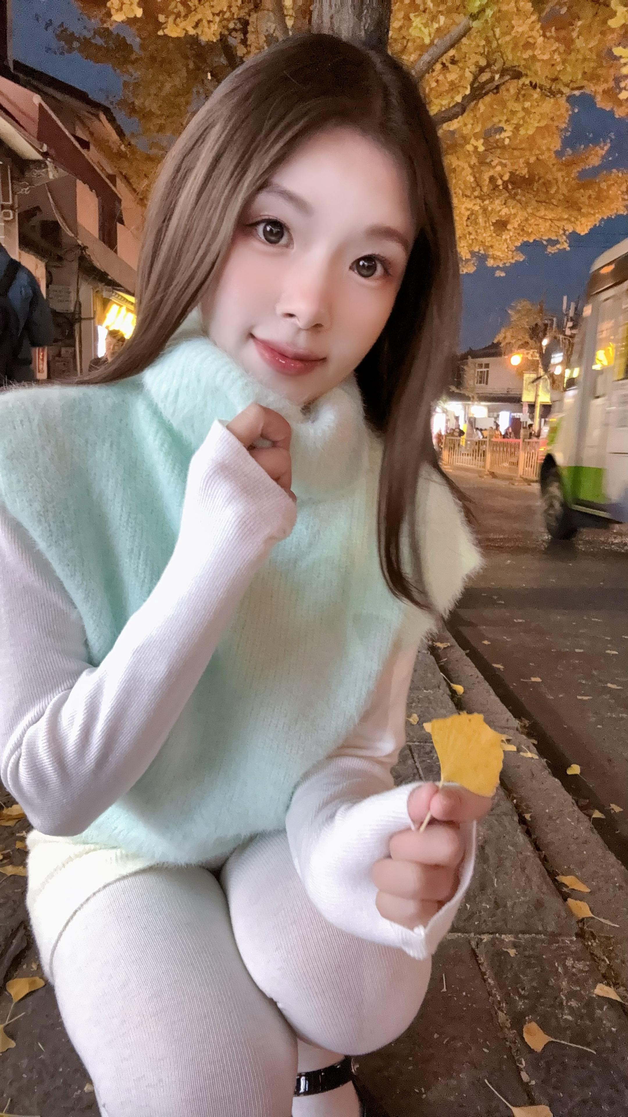 我宣布 银杏叶是秋天的浪漫