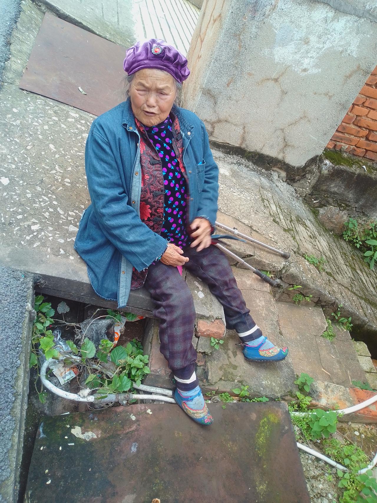 金莲奶奶

初秋的午后，阳光透过斑驳的土墙，像碎金般洒满了老宅的深巷。
微风不燥