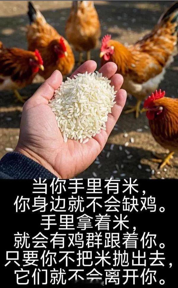 社会都是分层的，命运也是分层次的。身处社会底层的人，没有时间精力学习，没有时间精