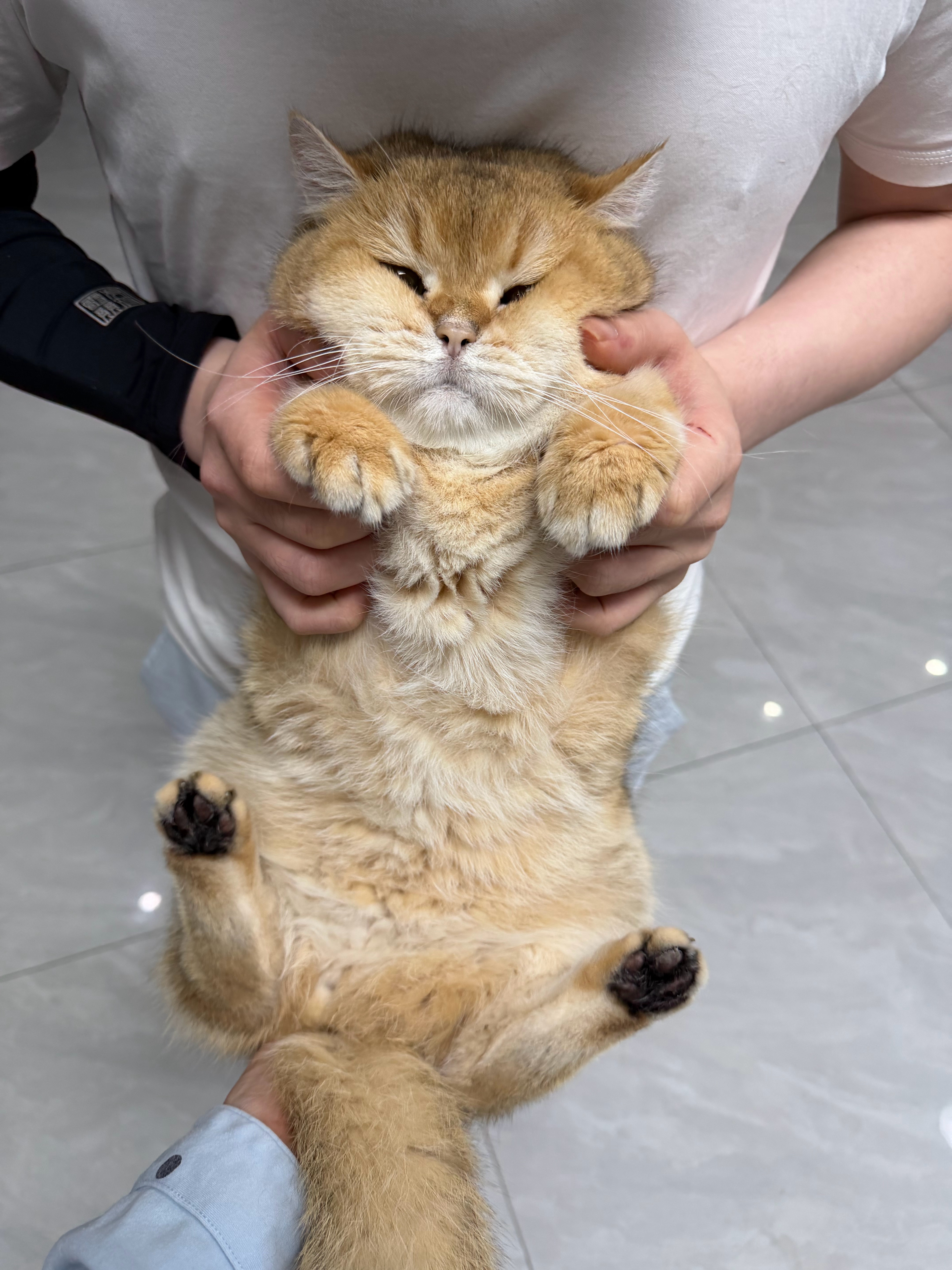 猫宁！没有身为小猫的尊严！豆粉能不能谴责他们！骂得他们吃不下饭一个月瘦10斤！