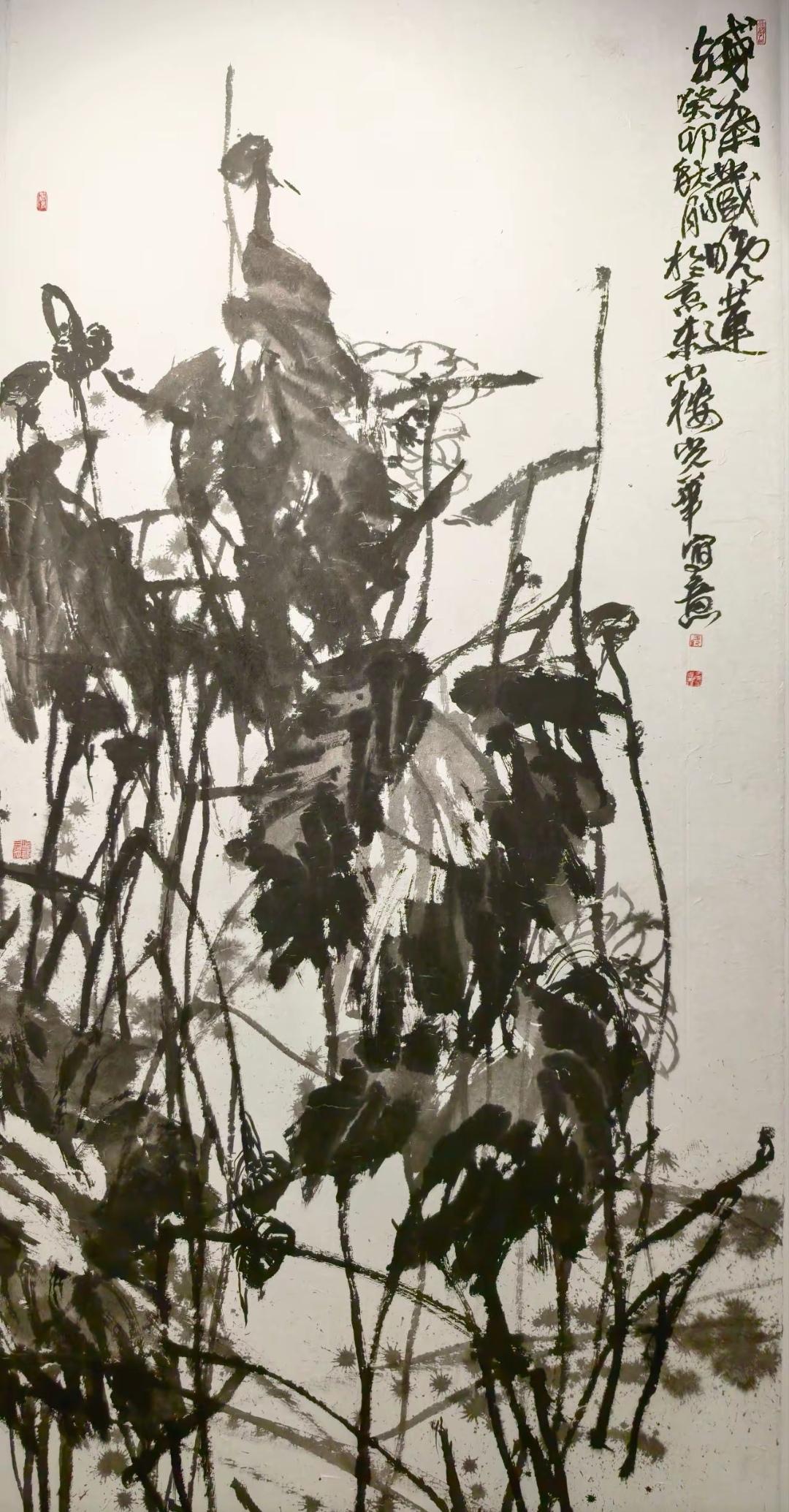 墨荷