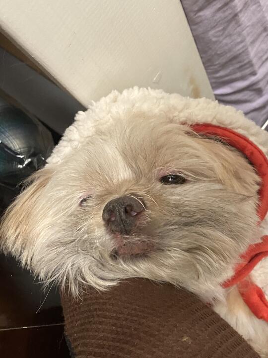 以为家里突然进了男的