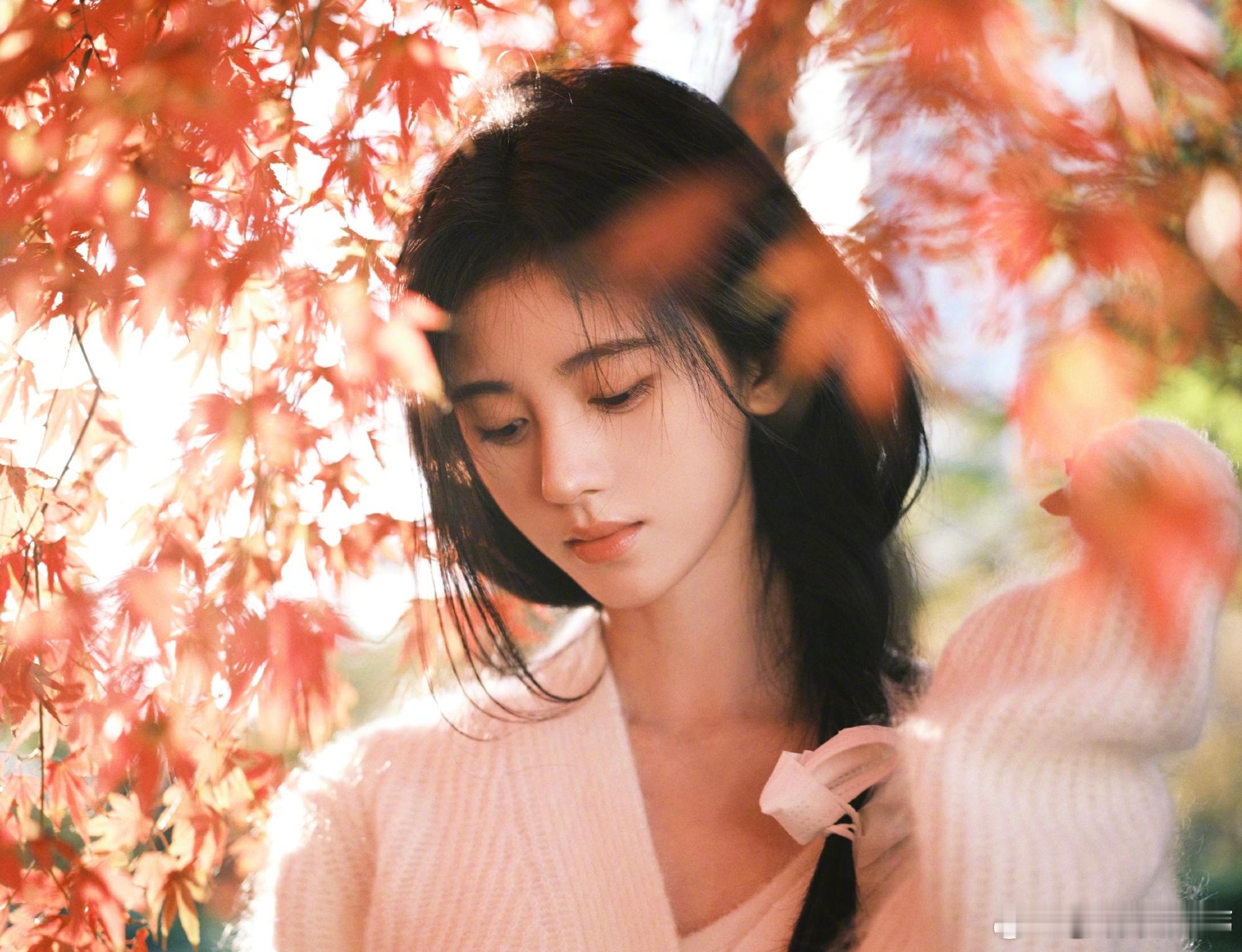 jjy鞠婧祎苏绿夏jjy鞠婧祎万花世界今天的风好大 如果你一定要问我这是什么风 