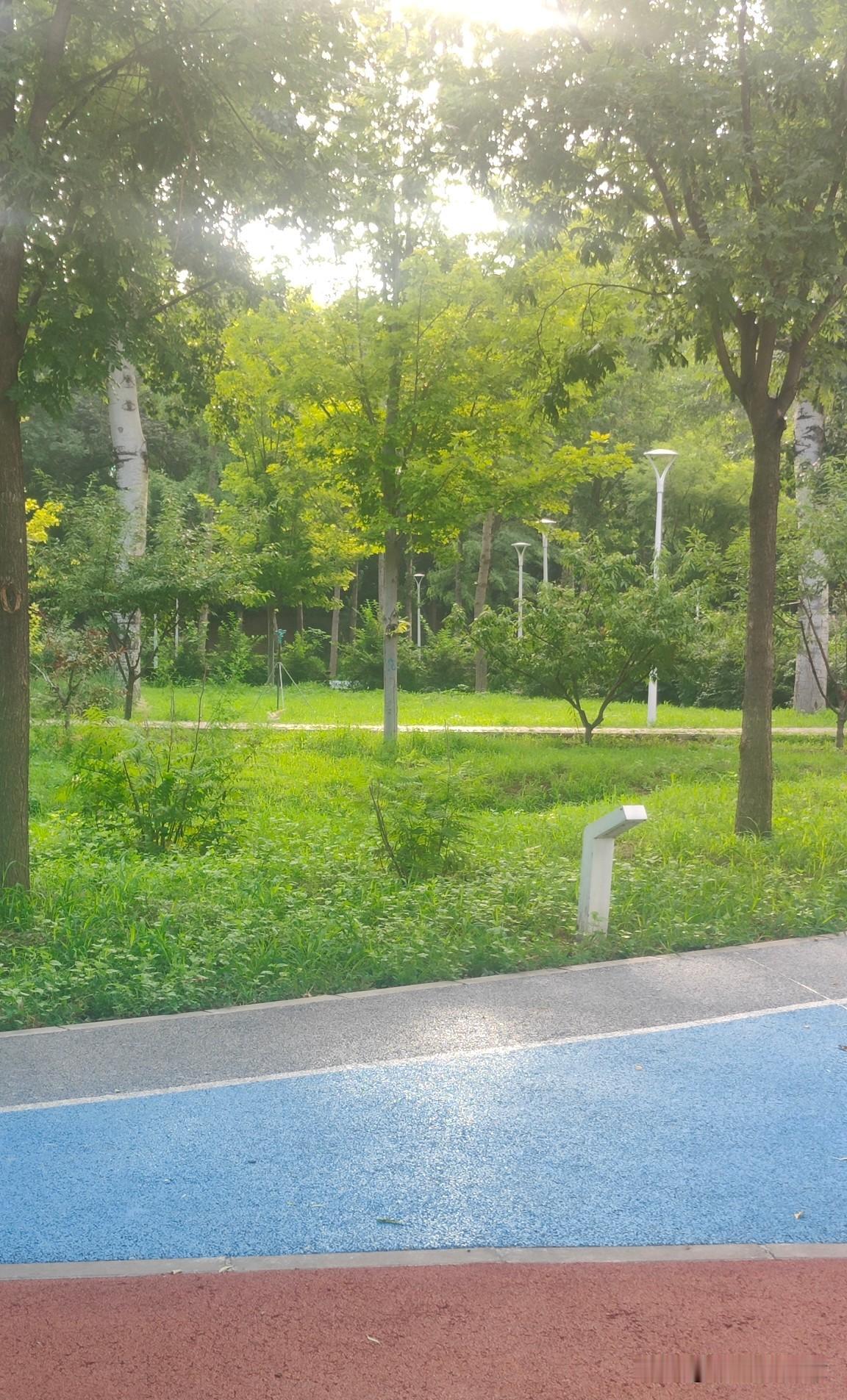 大兴海户公园就是你家附近免费、无围栏、超适合中小学生暑假遛娃+运动+轻研学的宝藏