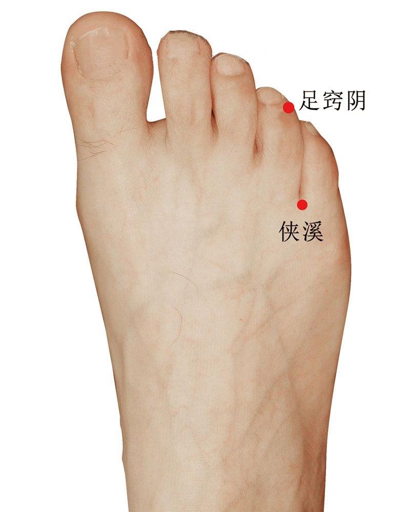 足窍阴：脚趾末端降火穴，清肝胆余热，改善失眠多梦、咽喉不适
 
⚠️温馨提示：内