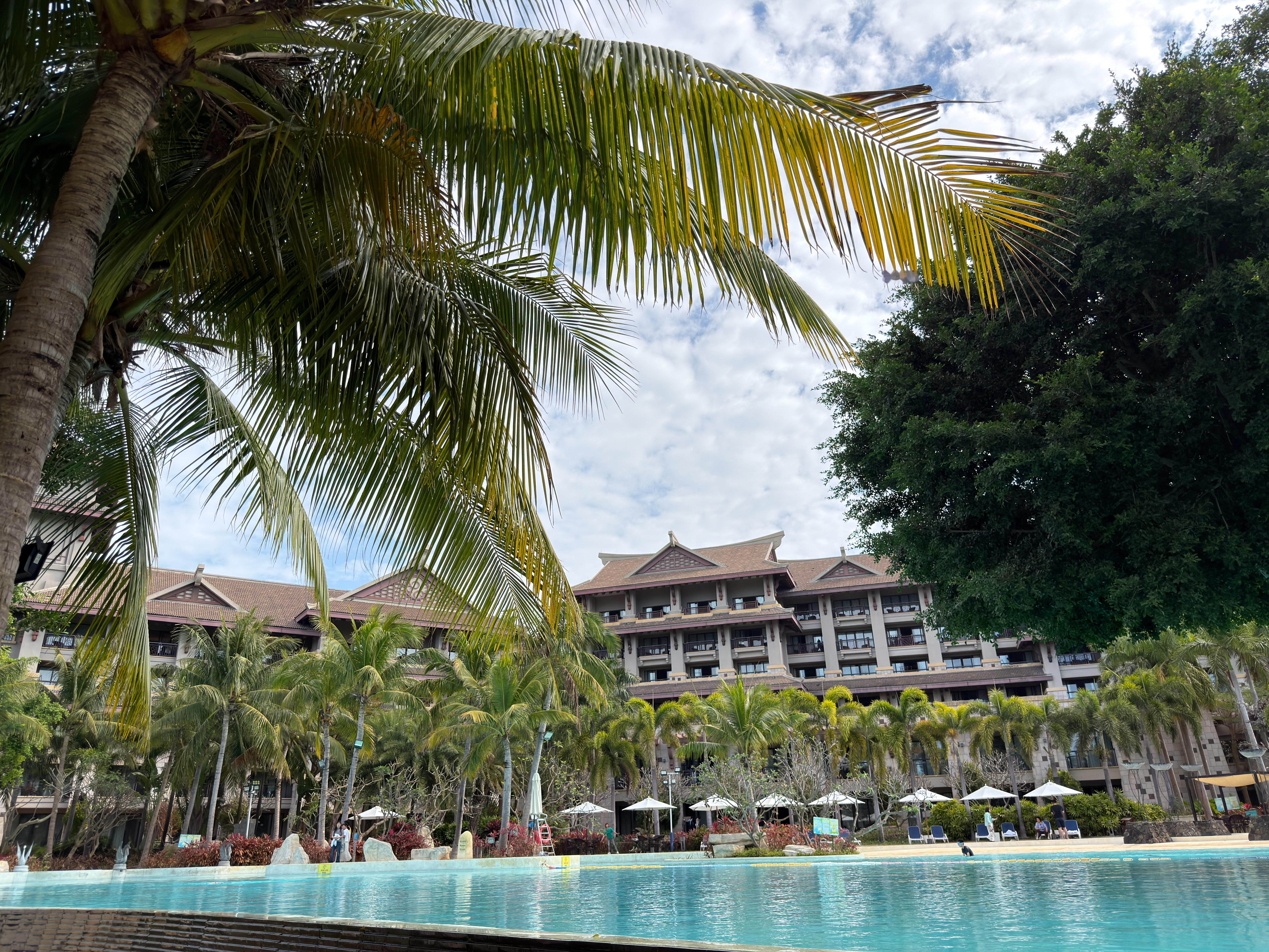 家人们，你们放假了吗？没放的话，我明天再来问问