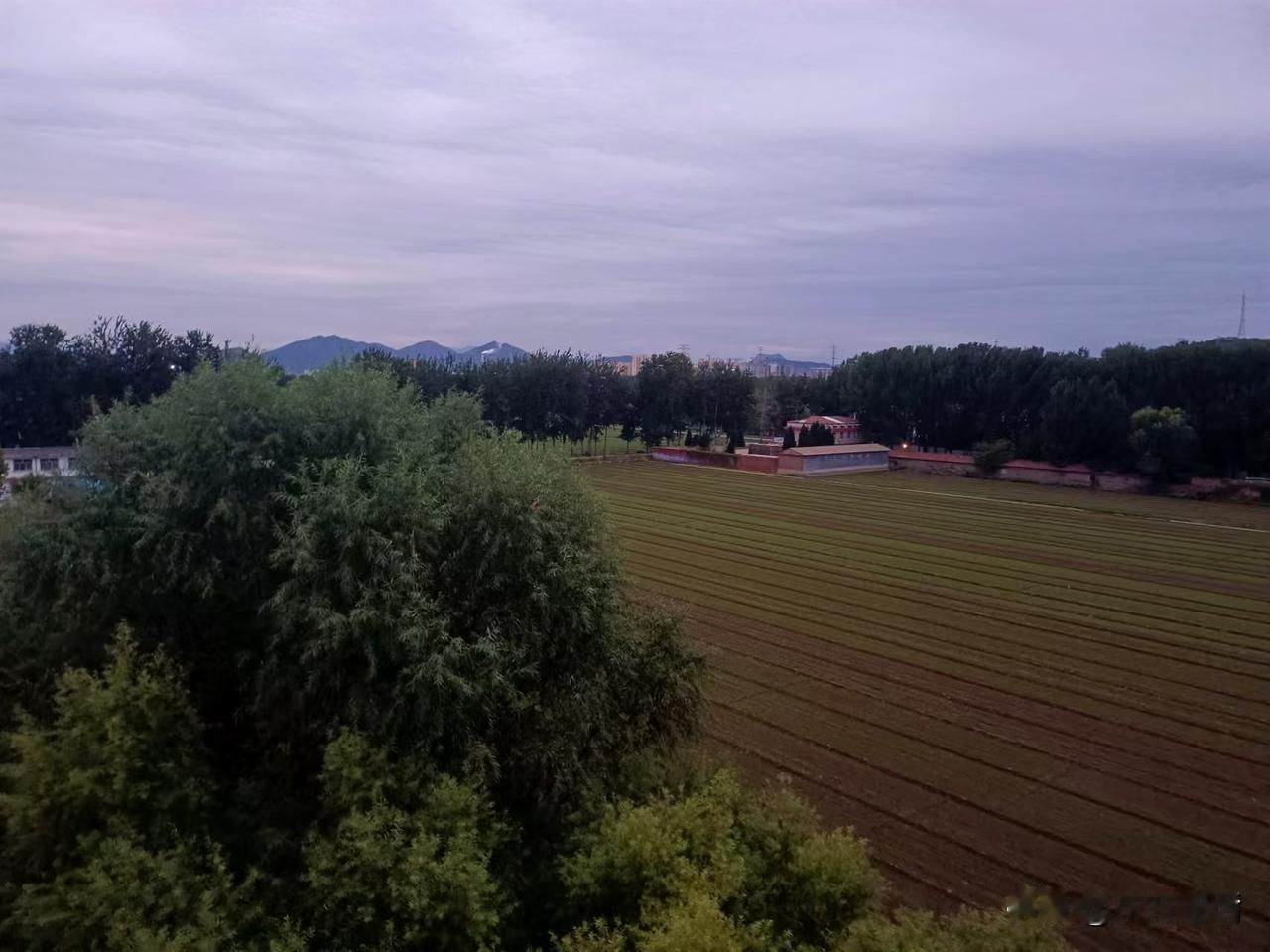 季节笔记：晚秋的一场雨
梁东方
冬小麦在霜降之前就已经出了苗，这是正确的是农事顺