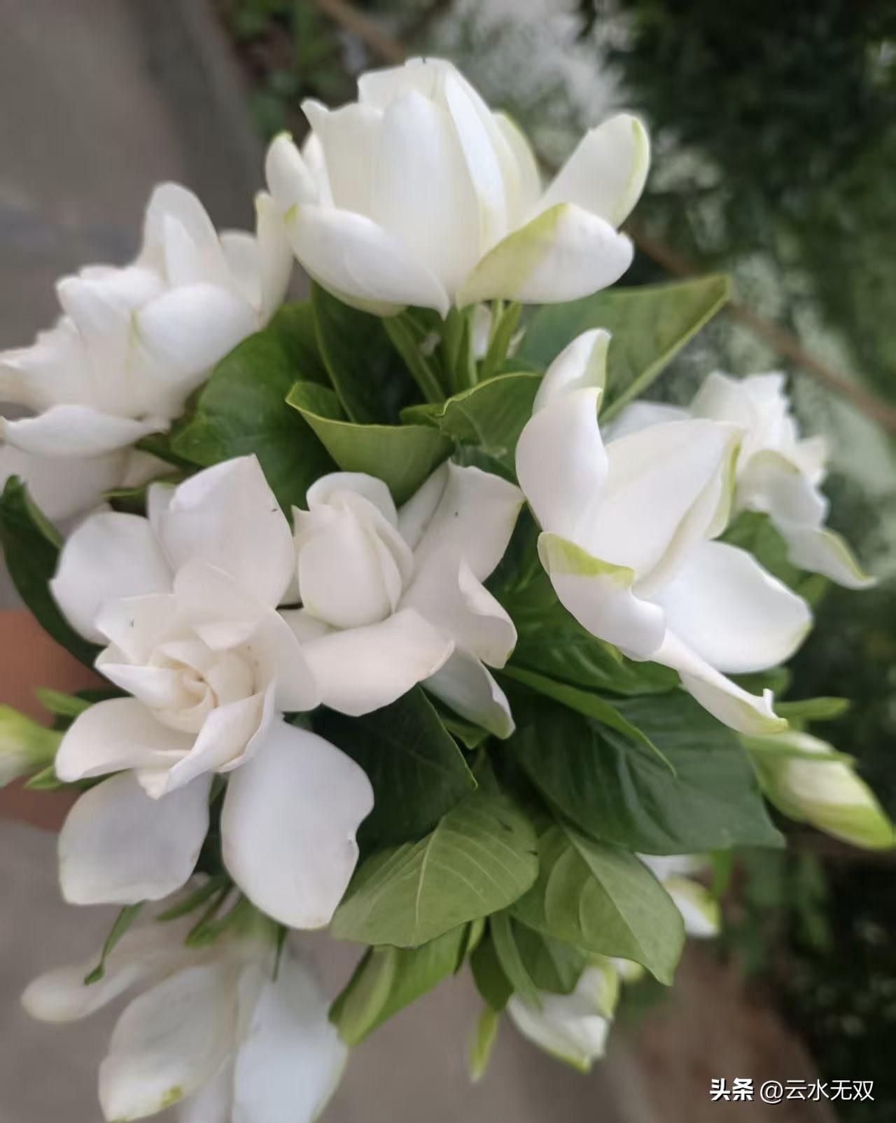 吃饭的时候你想着下午的事情，下午做事的时候你想着晚上接孩子放学，晚上接孩子放学的