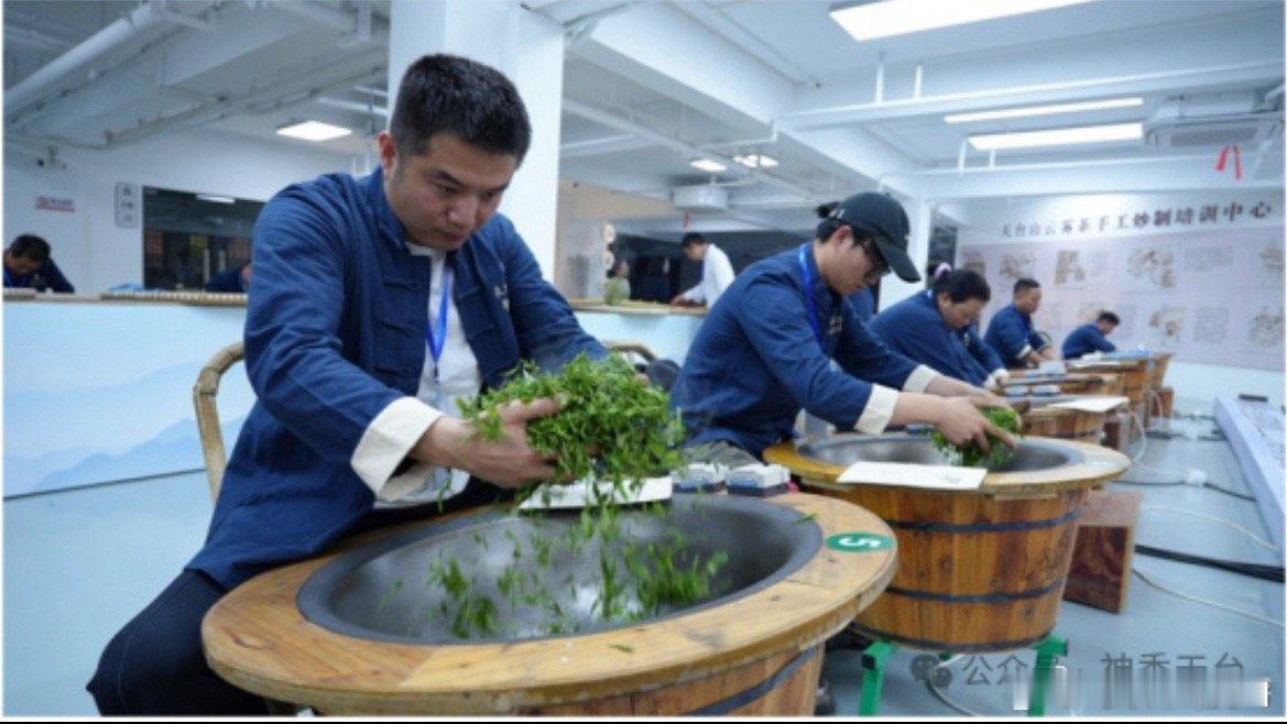 台州这位90后捧回省级大奖还带富了一方茶农天台非遗年轻传承人卢王军勇夺省级制茶赛