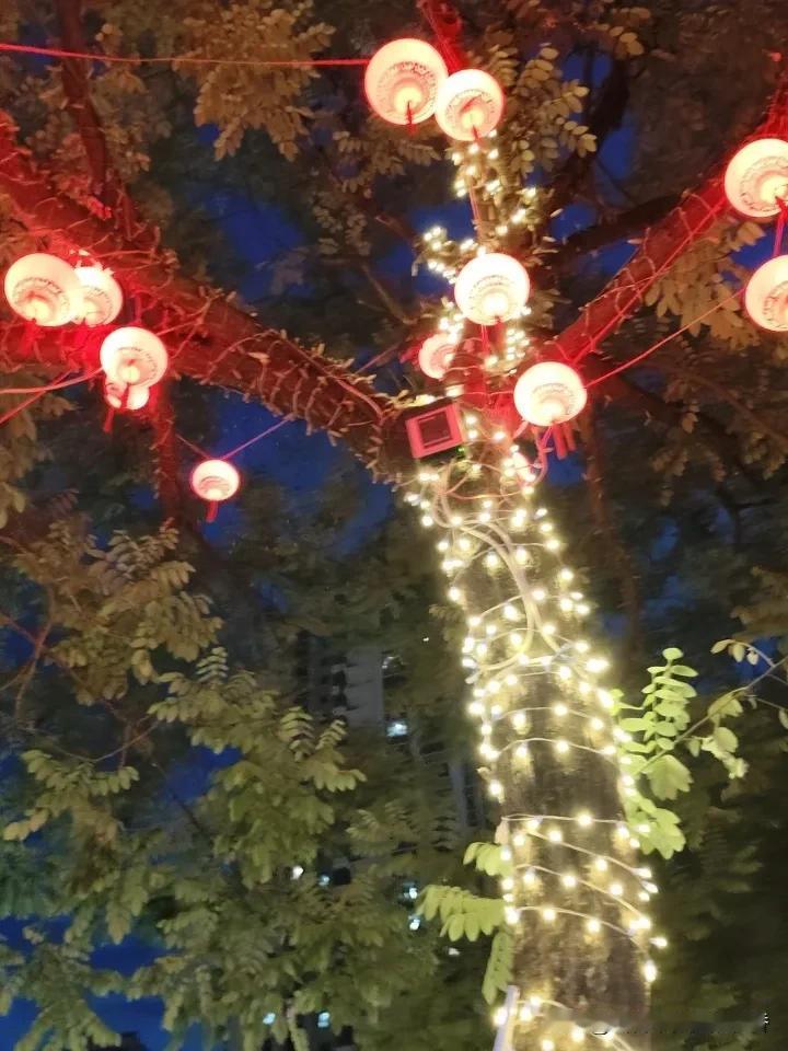 夜晚的浪漫，灯光与树影交织，宛如童话世界。🌿✨
