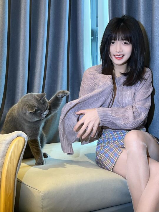 调皮猫和调皮小孩在图5