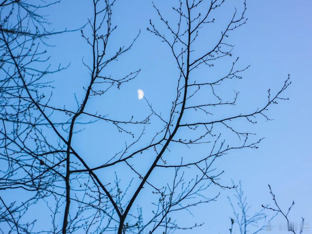 很多人喜欢说“夜未央”，“未央”2个字到底啥意思，很多人不懂摘自诗词世界在古装剧